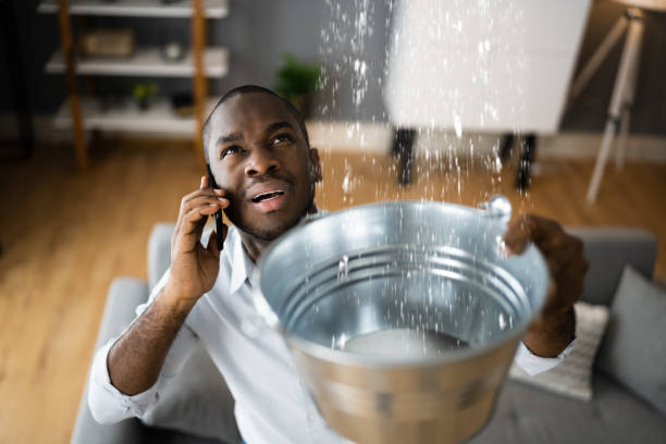 Best Residential water damage restoration  in Alderton, WA