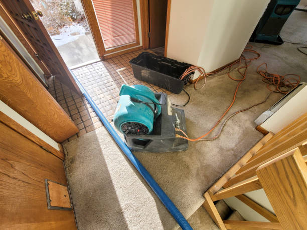 Best Residential water damage restoration  in Alderton, WA