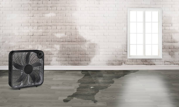 Best Flood damage cleanup  in Alderton, WA