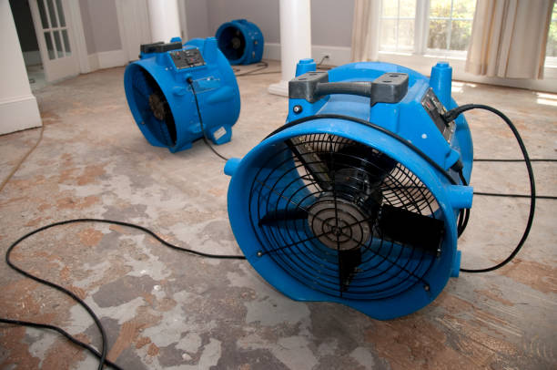 Water damage restoration insurance claims in Alderton, WA