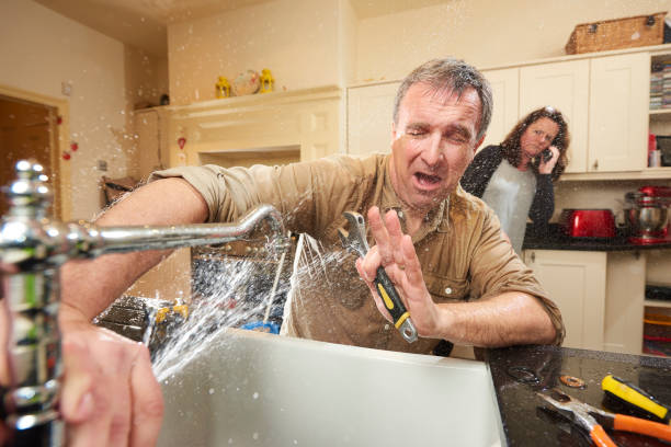 Best Water damage restoration mold remediation  in Alderton, WA